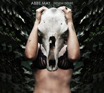 abbemay designdesire